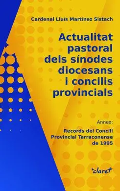 Actualitat Pastoral Dels Sínodes Diocesans I Concilis Provincials
