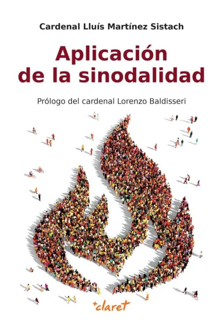 Aplicacion de la Sinodalidad