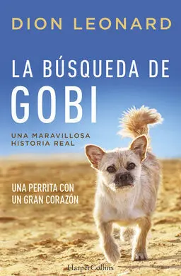 La Búsqueda de Gobi