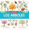 DESCUBRO LOS ÁRBOLES Y APRENDO A RECONOCERLOS