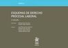 ESQUEMAS DE DERECHO PROCESAL LABORAL TOMO IV