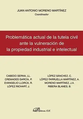 Problemática Actual de la Tutela Civil Ante la Vulneración de la Propiedad Industrial e Intelectual