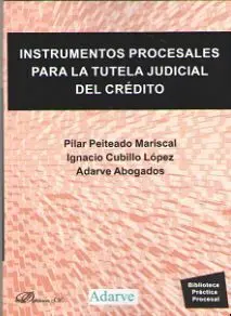 Instrumentos Procesales para la Tutela Judicial del Crédito