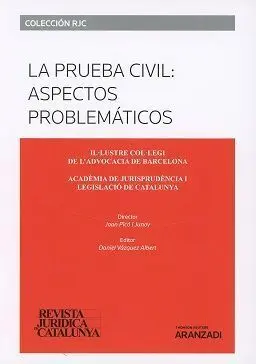 La Prueba Civil: Aspectos Problemáticos