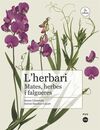 L'HERBARI: MATES, HERBES I FALGUERES