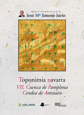 Toponimia Navarra. Vii. Cuenca de Pamplona. Cendea de Antsoain