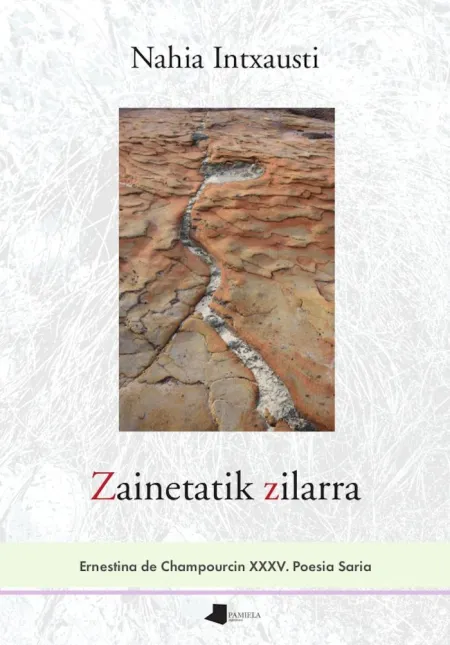 Zainetatik Zilarra