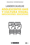 ADOLESCENTES GAIS Y CULTURA VISUAL