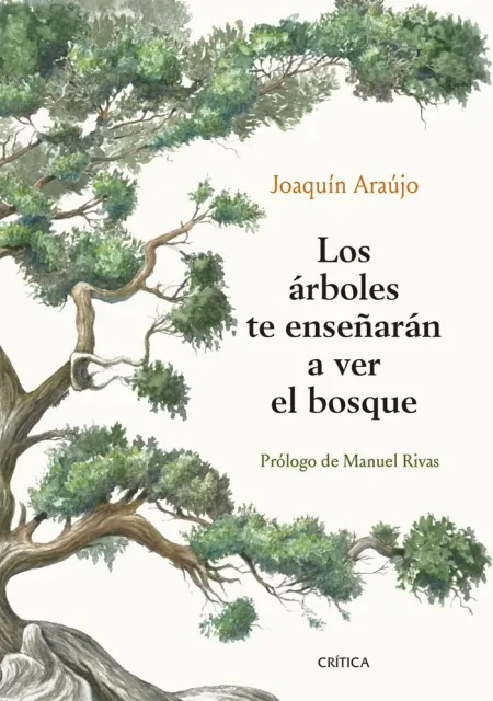 Los Arboles te Enseñaran a Ver el Bosque