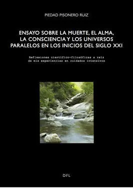 Ensayo Sobre la Muerte, el Alma...