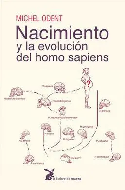 Nacimiento y la Evolución del Homo Sapiens