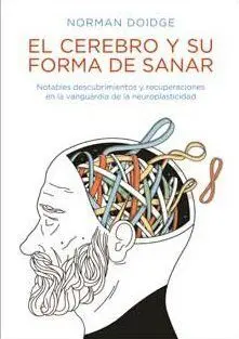 El Cerebro y Su Forma de Sanar