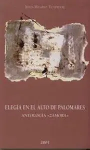 Elegia en el Alto de Palomares