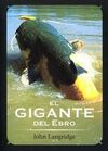 EL GIGANTE DEL EBRO