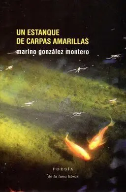 Un Estanque de Carpas Amarillas