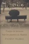 Fuegos de Invierno Bajo los Puentes de Madrid