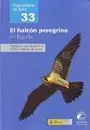 El Halcón Peregrino en España
