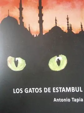 Los Gatos de Estambul