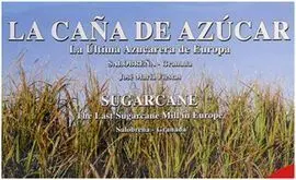 La Caña de Azúcar