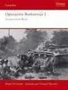 Operación Barbarroja I - la Invasion de Rusia