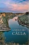 LO QUE EL RÍO CALLA