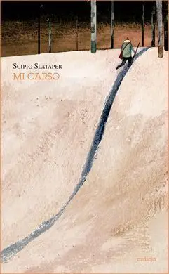 Mi Carso