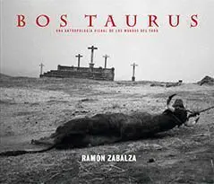 Bos Taurus