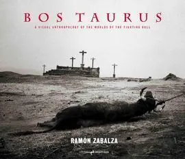 Bos Taurus