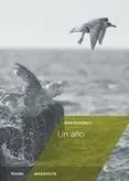 Un Año