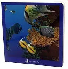 Animales Marinos Carton