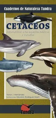 Cetaceos