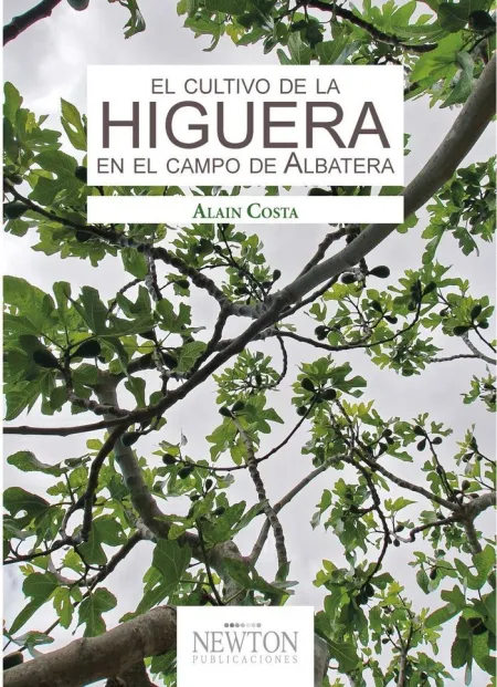El Cultivo de la Higuera en el Campo de Albatera