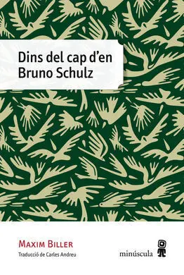 Dins del Cap D´en Bruno Schulz