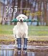 365 CITAS PARA SER FELIZ