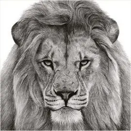 Contar Leones