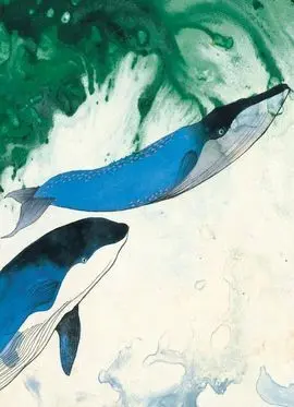 Libreta Ballenas de la Creacion