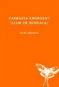 Carabassa Emergent (Llum de Bengala)