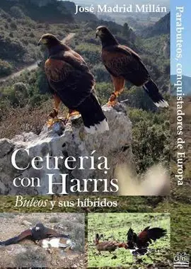 Cetrería con Harris