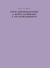SIETE APROXIMACIONES A MARÍA ZAMBRANO Y UN ACERCAMIENTO