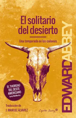 El Solitario del Desierto