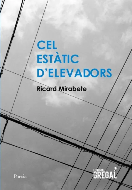 Cel Estàtic D'elevadors
