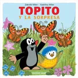 Topito y la Sorpresa