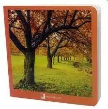 Otoño Carton