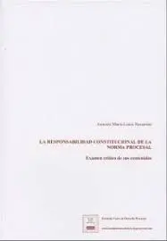 Responsabilidad Constitucional de la Norma Procesa