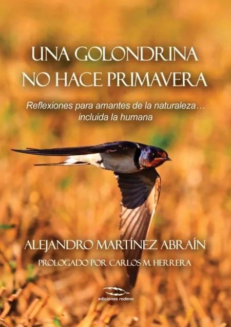 Una Golondrina no Hace Primavera /Reflexiones para