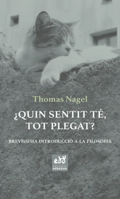 ¿Quin Sentit Te, Tot Plegat?