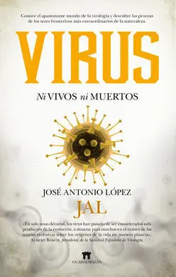 Virus