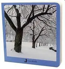 Invierno Carton
