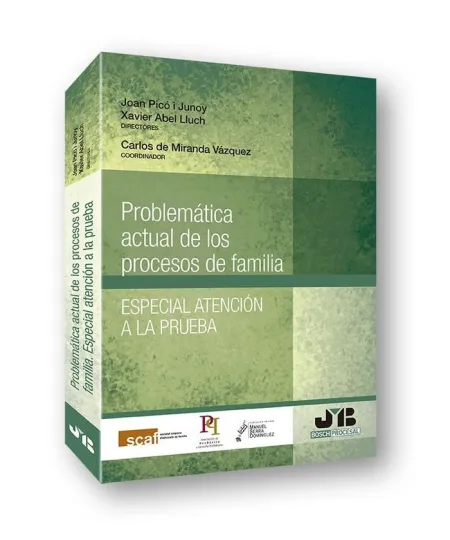Problemática Actual de los Procesos de Familia