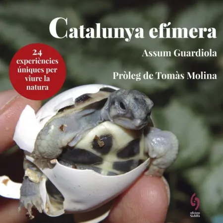 Catalunya Efimera